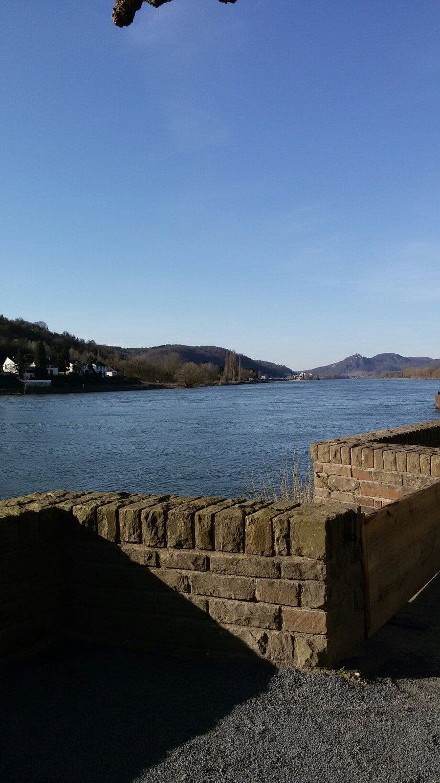 bild von dem rhein